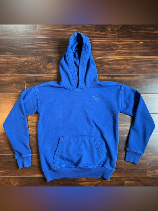 abercrombie kids Other - abercrombie kids Boy’s Royal Blue Hooded Sweatshirt, 11/12